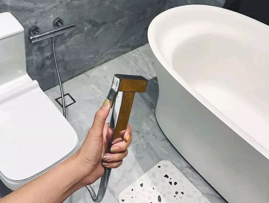 灵感来自马桶,厕所十大匪夷所思的设计