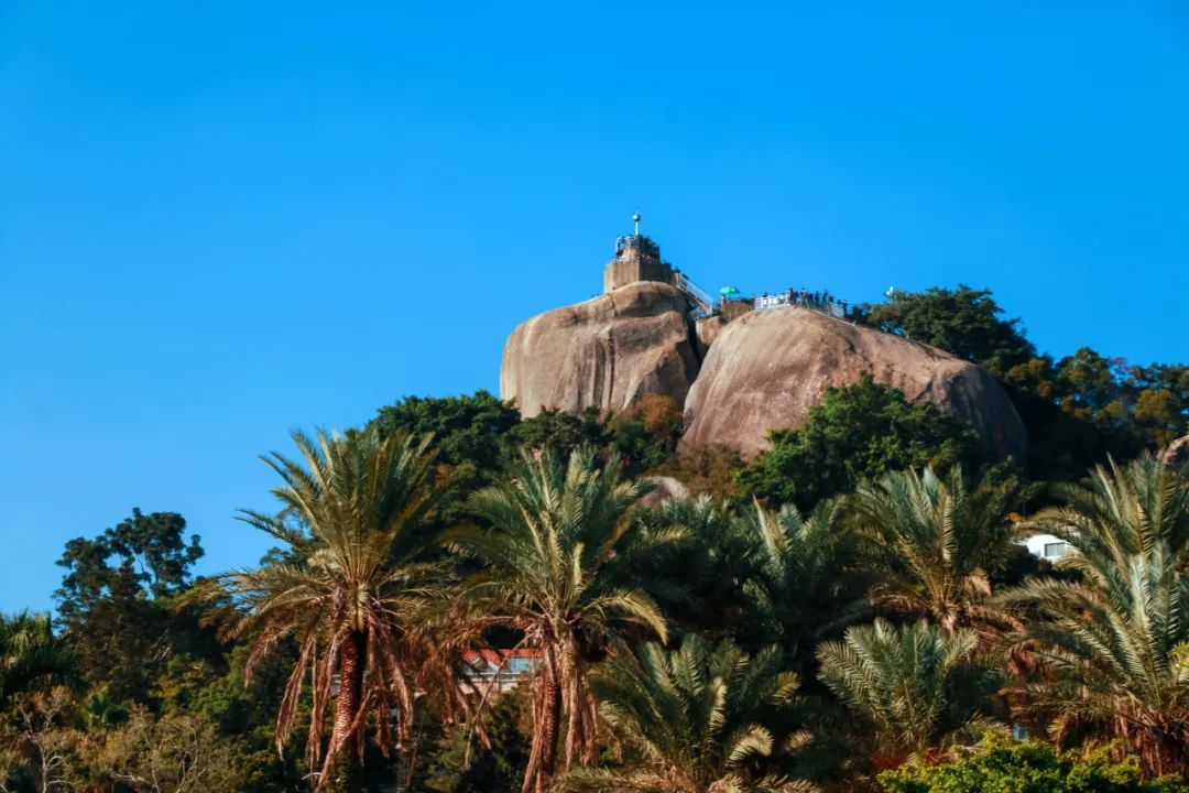 你好，我叫厦门，这是我的简历