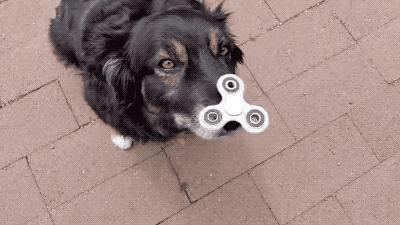 大家都在用什么解压方法,一个很神奇的解压方式