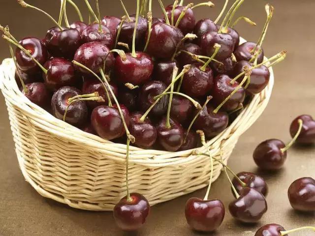 车厘子必备常识,这个季节的车厘子怎么管理