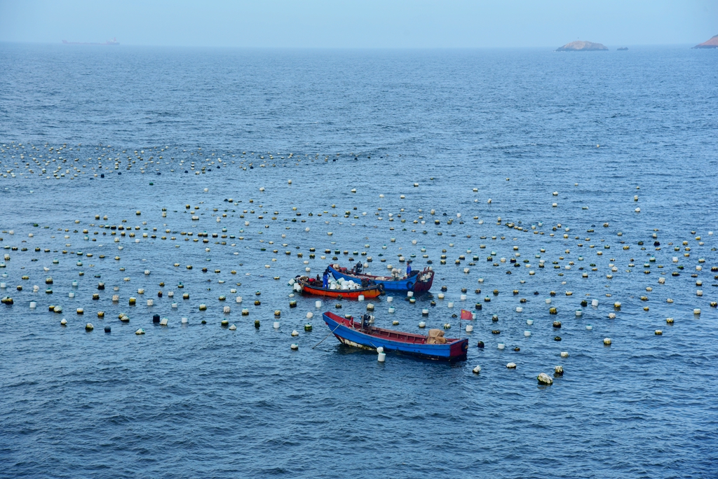 舟山枸杞岛3日游攻略,舟山枸杞岛旅游攻略