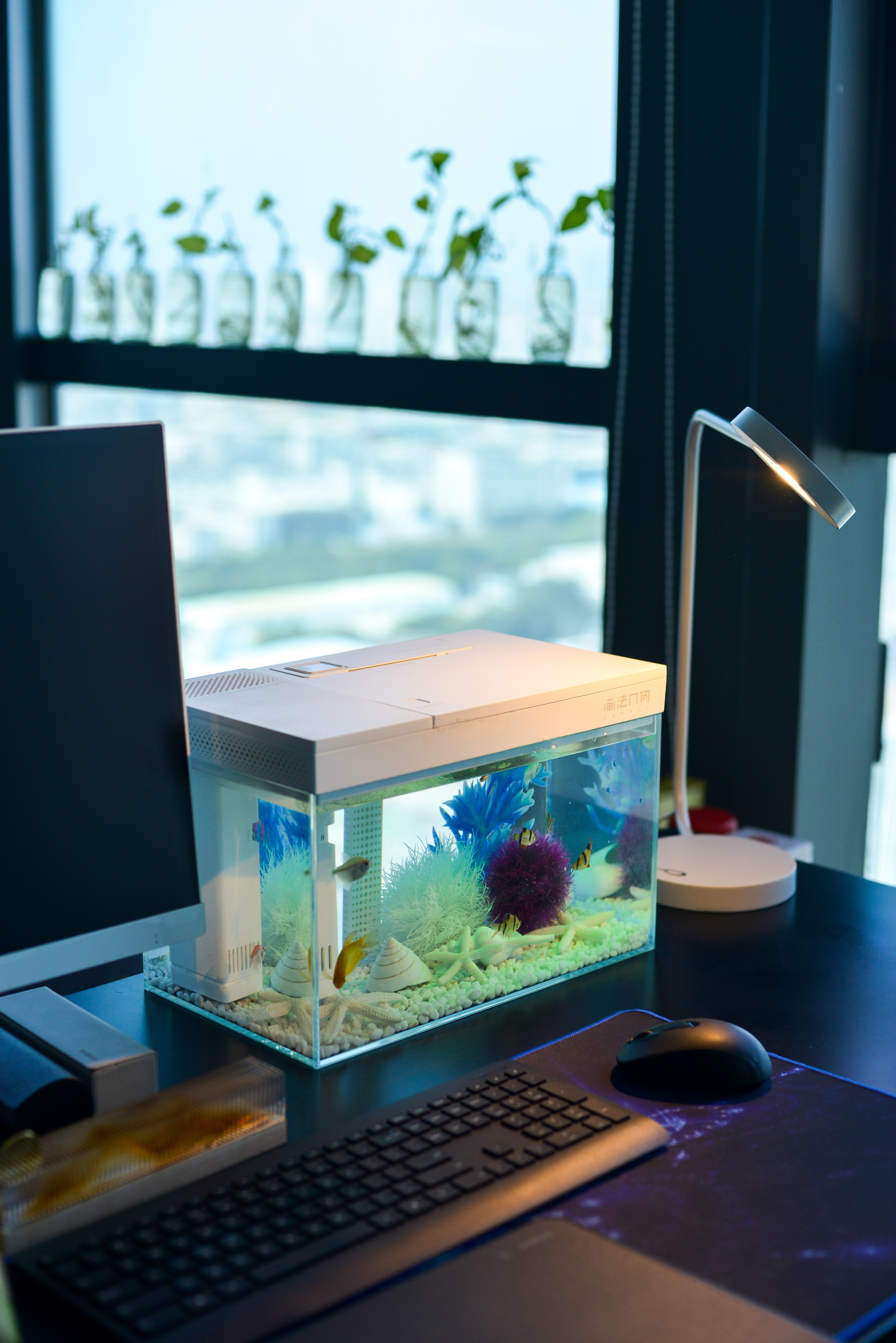 灏忕背鏅鸿兘鎶曞杺楸肩几,灏忕背绫冲鏅鸿兘楸肩几鎬庝箞鎺у埗鐏厜