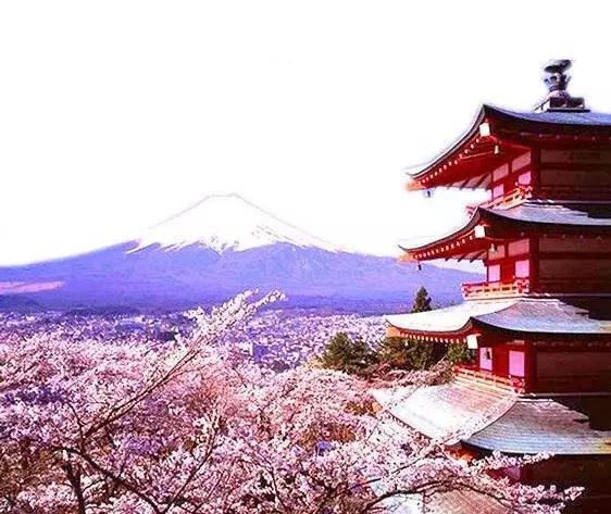 简述支气管哮喘的肺功能检测,支气管哮喘诊断标准依靠肺功能