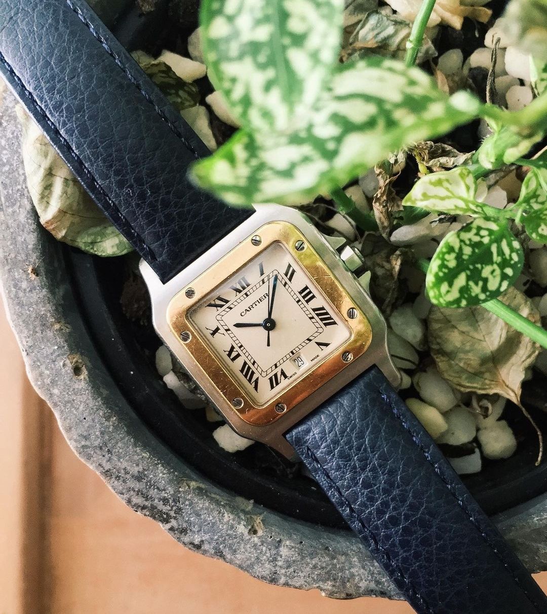 戴安娜腕表,戴安娜戴两支表