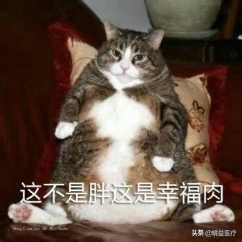 真正有效的瘦身药品是什么,最有效的药可以暴瘦