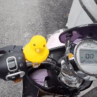 找一群伴郎有多重要,结婚找二十个伴郎