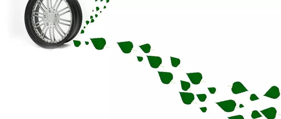 双星企业文化,双星集团建设