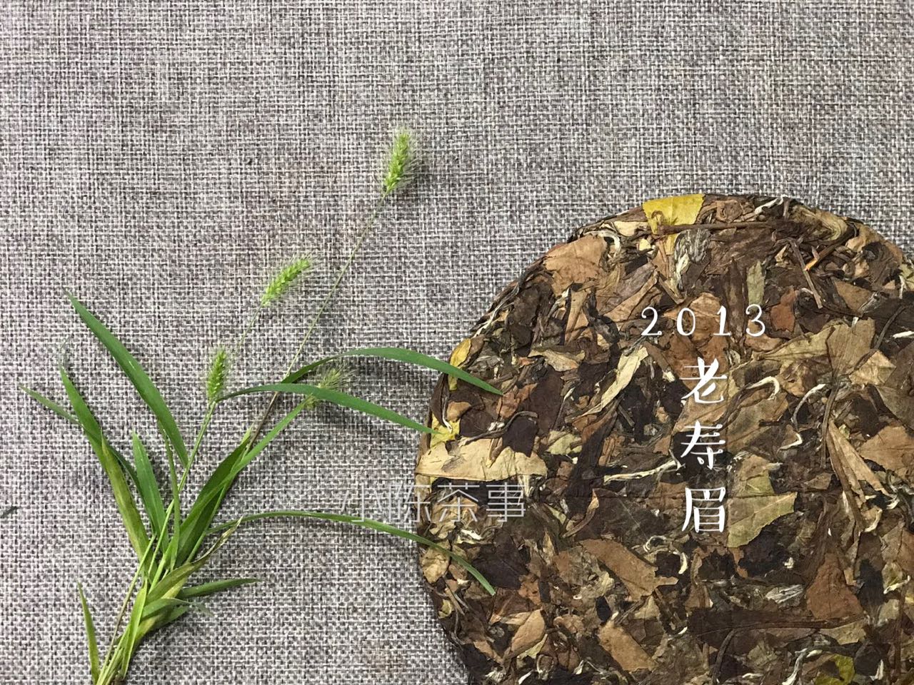 荒野白茶能出金花吗,荒野白茶和普通白茶干茶区别