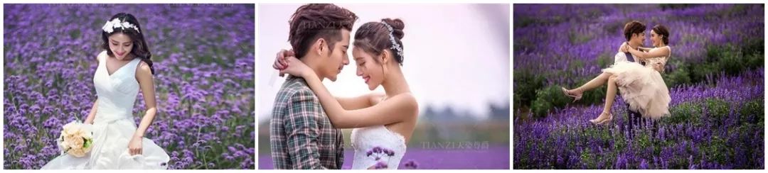 九宫格婚纱摄影广告,婚纱摄影抖音广告投放