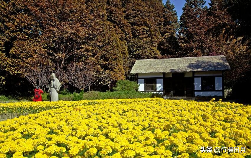 人间芳菲十月,人间四月芳菲尽硬笔楷书