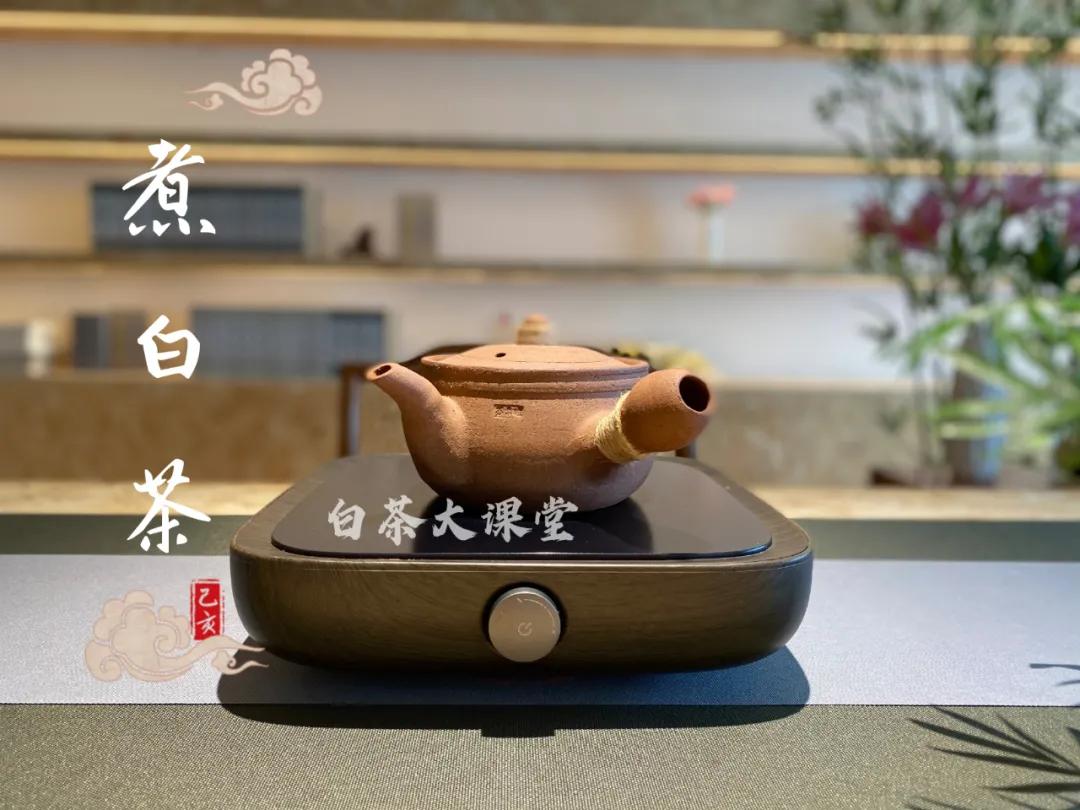 为什么白茶煮出来会苦,为什么白茶泡着不好喝焖好喝