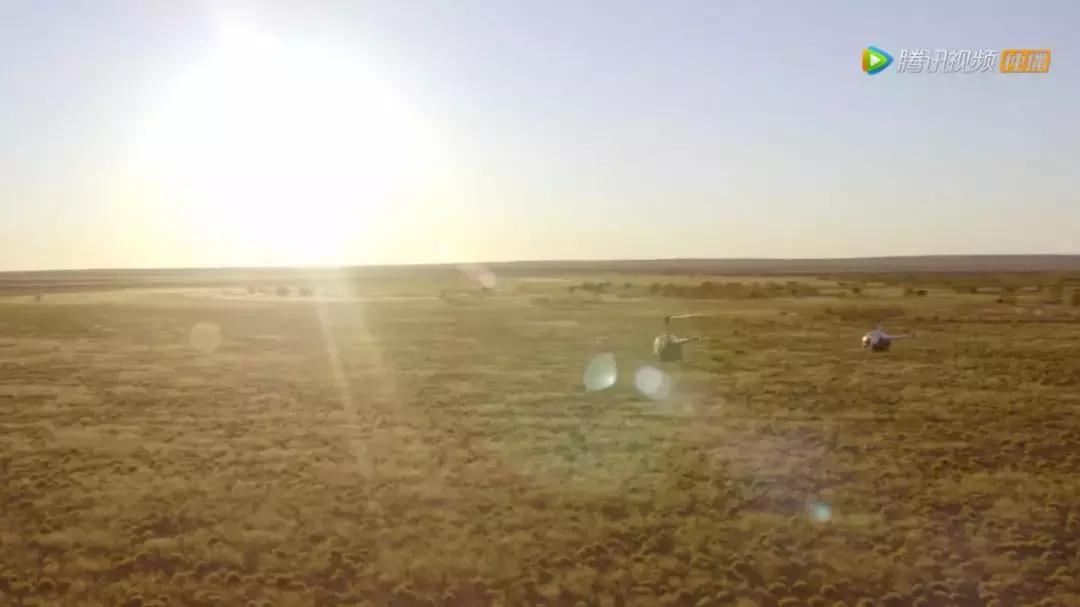 人在逆境要懂得坚持,面对逆境向阳而生