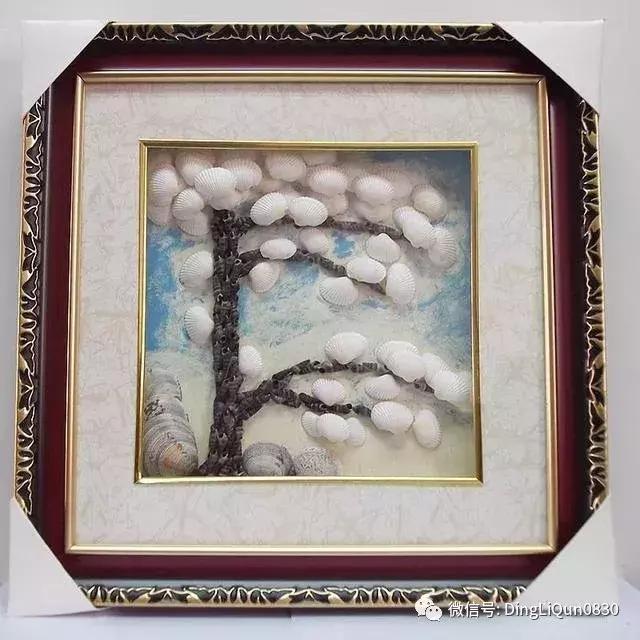 旧贝壳改造教程,废旧物品贝壳手工制作大全