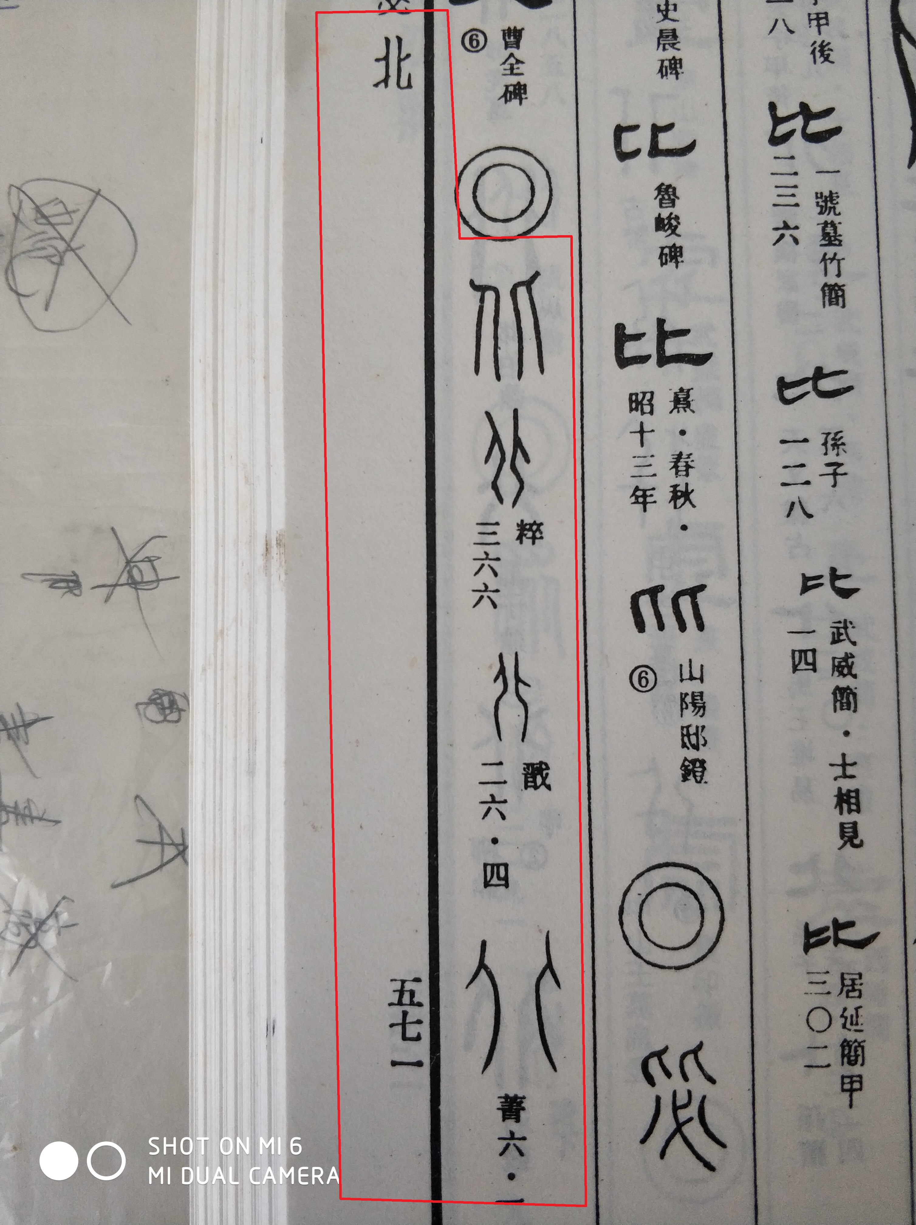 中国龙原型,中国龙的原型是什么