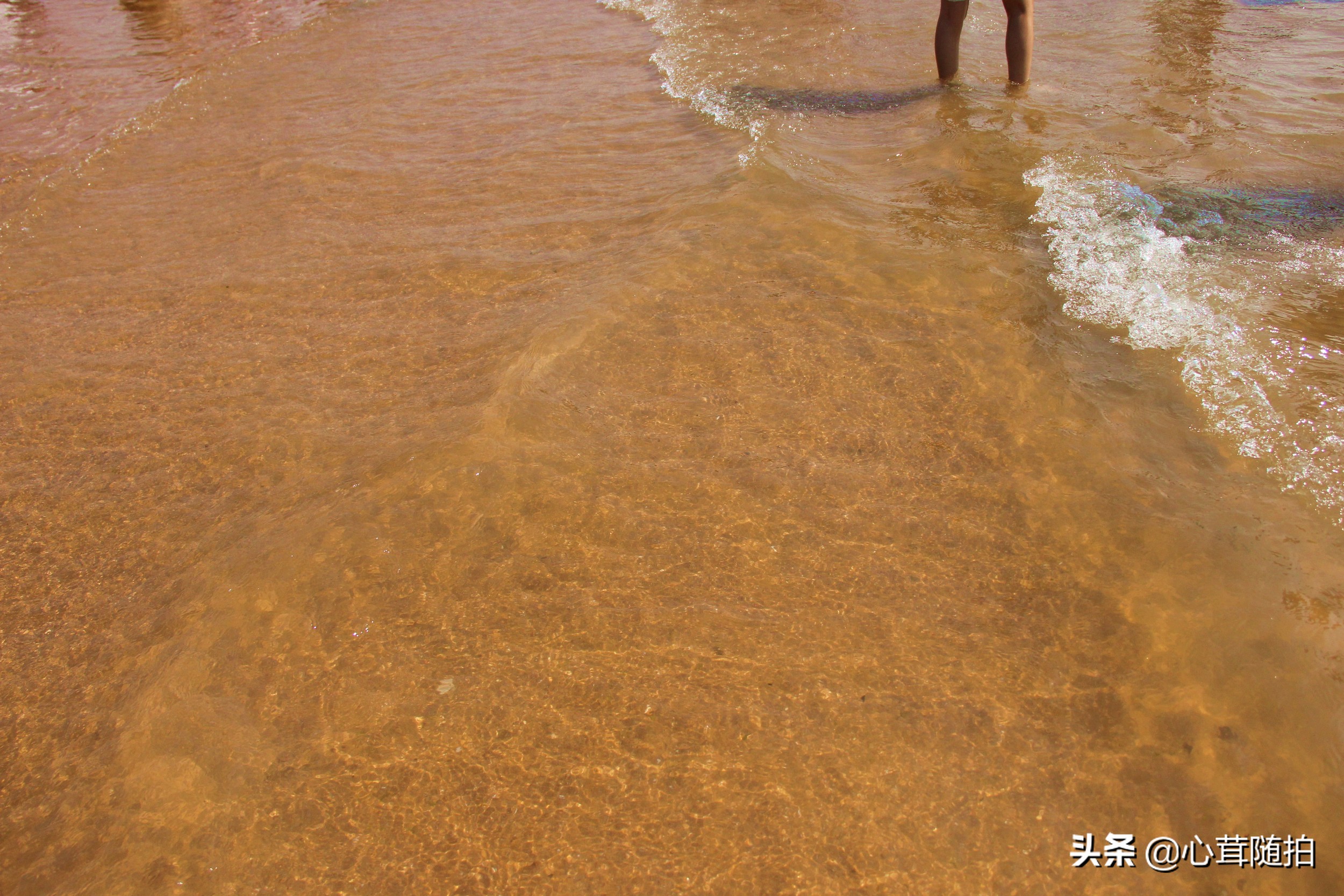青岛市的金沙滩,金沙滩海边生活