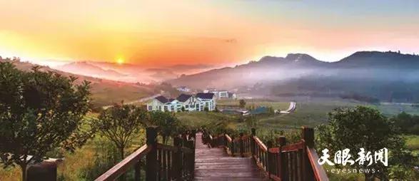 贵州绿色农产品何以风行天下？从毕节一颗萝卜出口迪拜的跨国之旅说起~