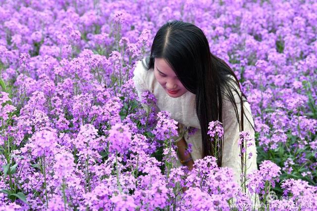 大美新蔡生态水城,大美新蔡等你来