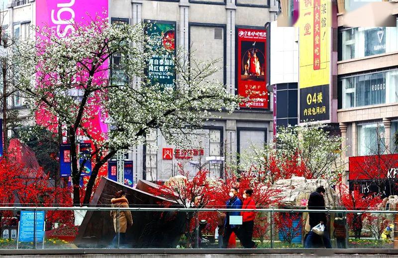 30元现金抵用券领取,30万现金券免税