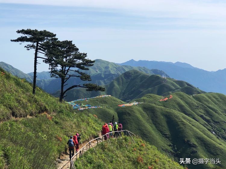 初夏游江西：历经晴、雨、雾，穿越武功山