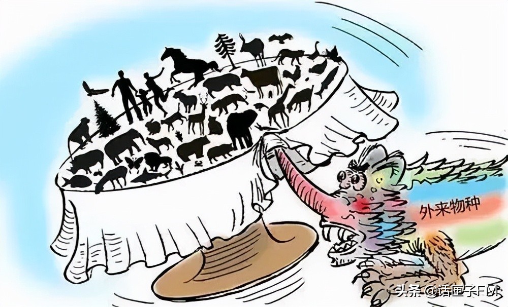 4米长，手臂粗！海关截获眼镜王蛇，现场还在不断喷射毒液