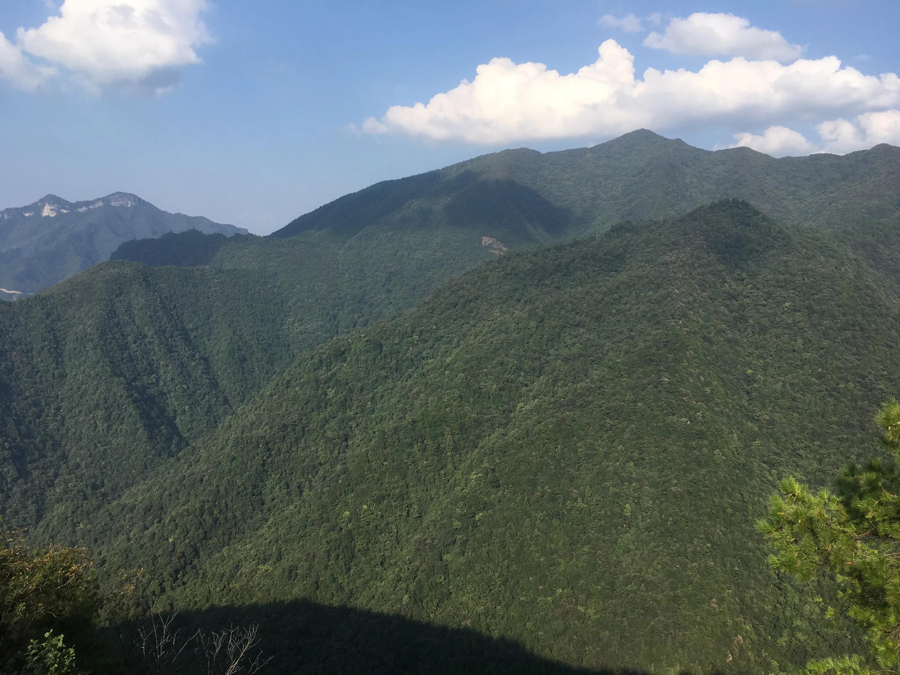 重庆南川区哪个地方好玩,重庆南川是哪些地方