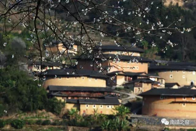 南靖土楼旅游攻略自由行,福建漳州南靖土楼旅游攻略