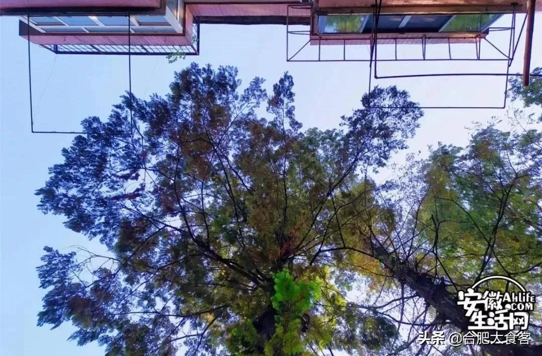 2020年，在这50个地方遇见不一样的合肥