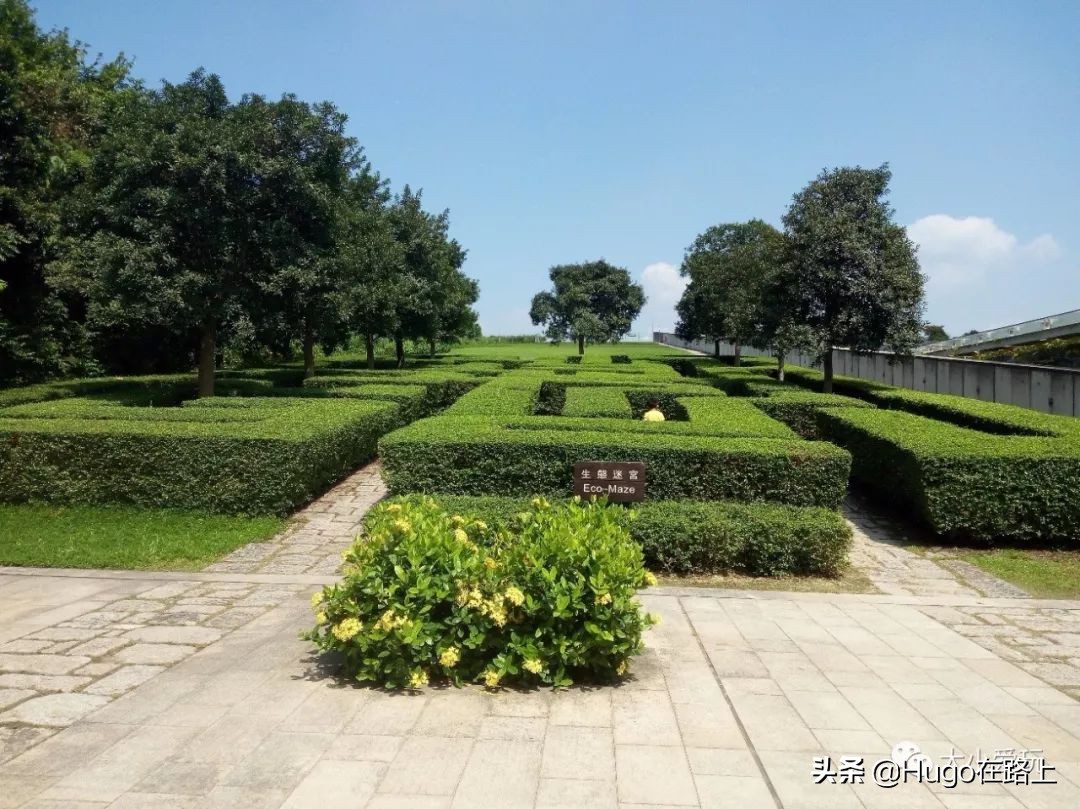 去香港亲子旅行攻略路线图片,香港亲子游最佳路线图