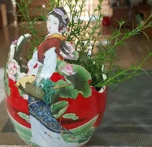 用酒瓶怎么做好看的花盆,从废旧酒瓶到创意花盆的华丽转身