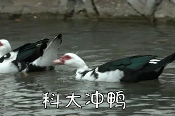 在天津排多少名能上天津科技大学,考上了天津科技大学怎么样