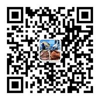 告别北上广：女白领朋友圈直播捕鱼，看了才知道什么是硬核海鲜