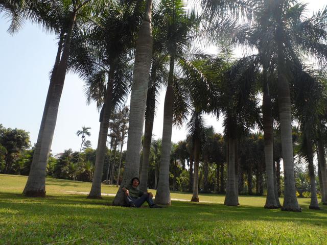 西双版纳热带雨林徒步游记,十年徒步中国在线阅读