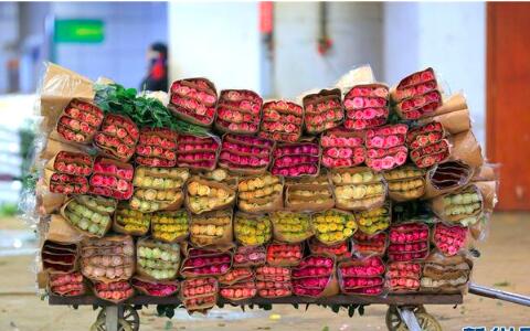 花从斗南来：每朵鲜花背后的故事