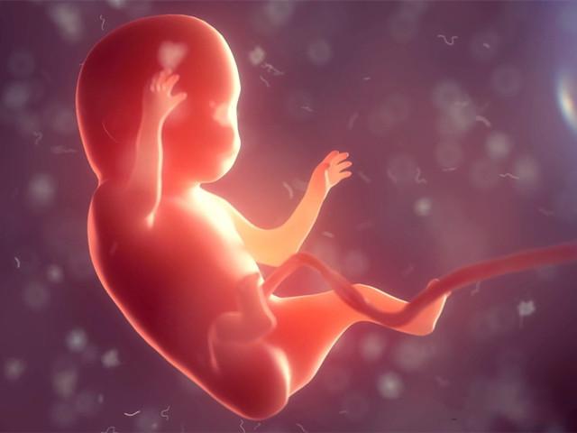 怀孕宝宝在保护妈妈,怀孕胎儿在肚子有几层保护