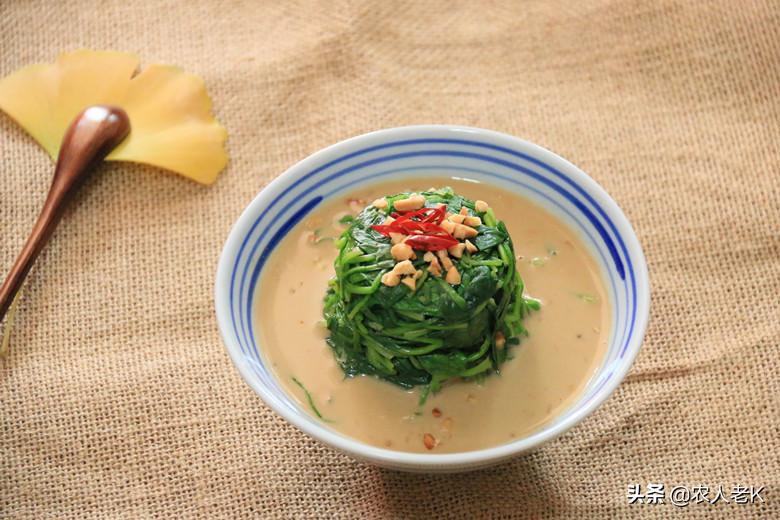 河南豫北地区种植菠菜的最佳时间,现在4月份菠菜怎么种植视频教程