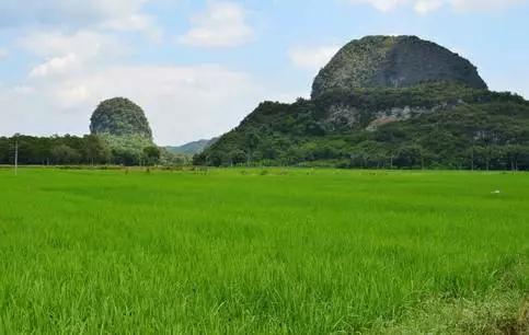 广东草原风景区,广东最美大草原