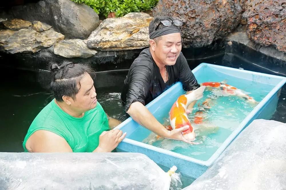 他花50亿建池塘买锦鲤，还以好友的名字为它们命名！