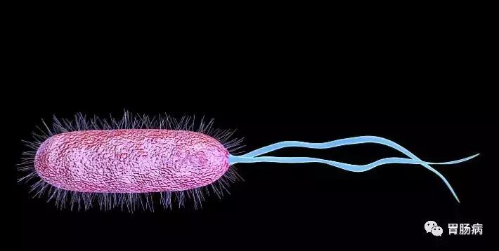 非浅表性萎缩胃炎会癌变吗,浅表性非萎缩胃炎用什么药