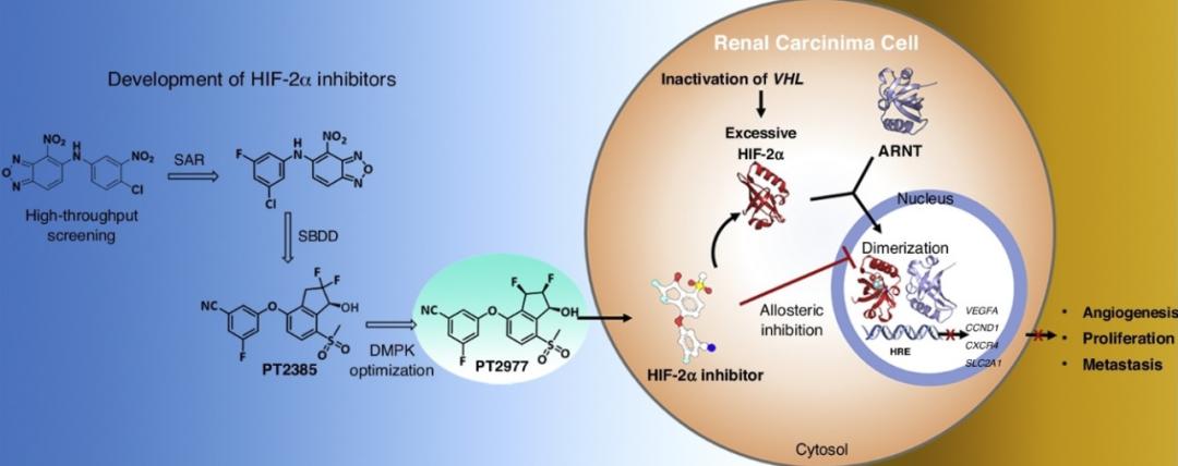 诺奖发明药品能治癌症吗,诺奖科研项目