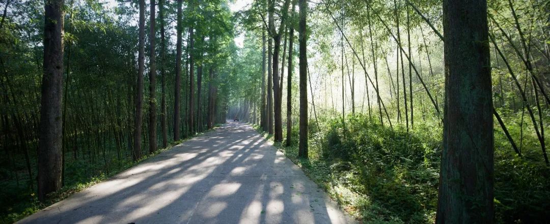 莫干山打卡圣地,莫干山王源