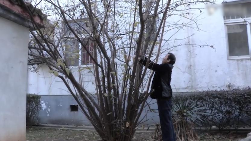 脑瘫孕妇冒险生娃完整版,脑瘫孕妇冒险生娃是第几期