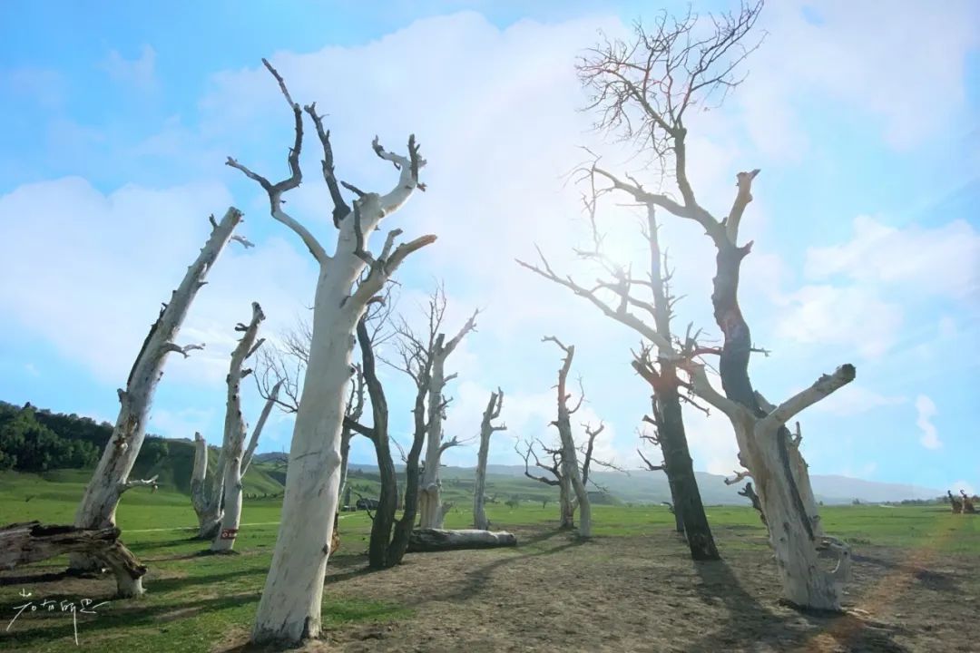 那拉提草原旅游徒步攻略,如何游玩那拉提