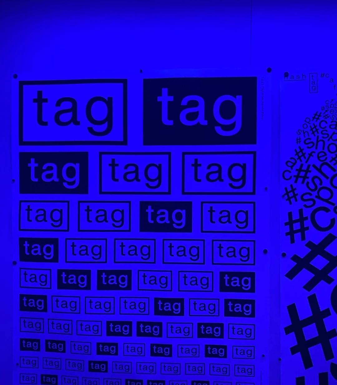 趣客户|#Hashtage：永嘉路上的网绿集合店