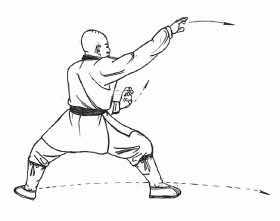 鹰抓鸟全过程,鹰爪的用法