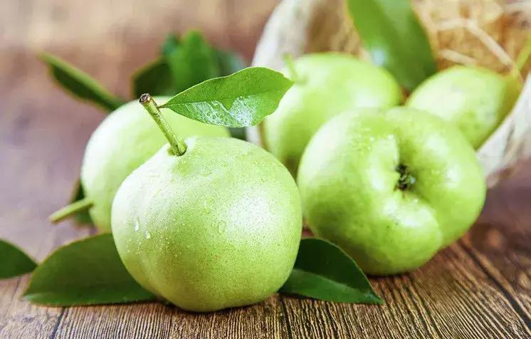 “阳信鸭梨”区域公用品牌形象标识