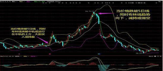 终于有人把股票讲明白,股市到6千点时什么股票涨得多
