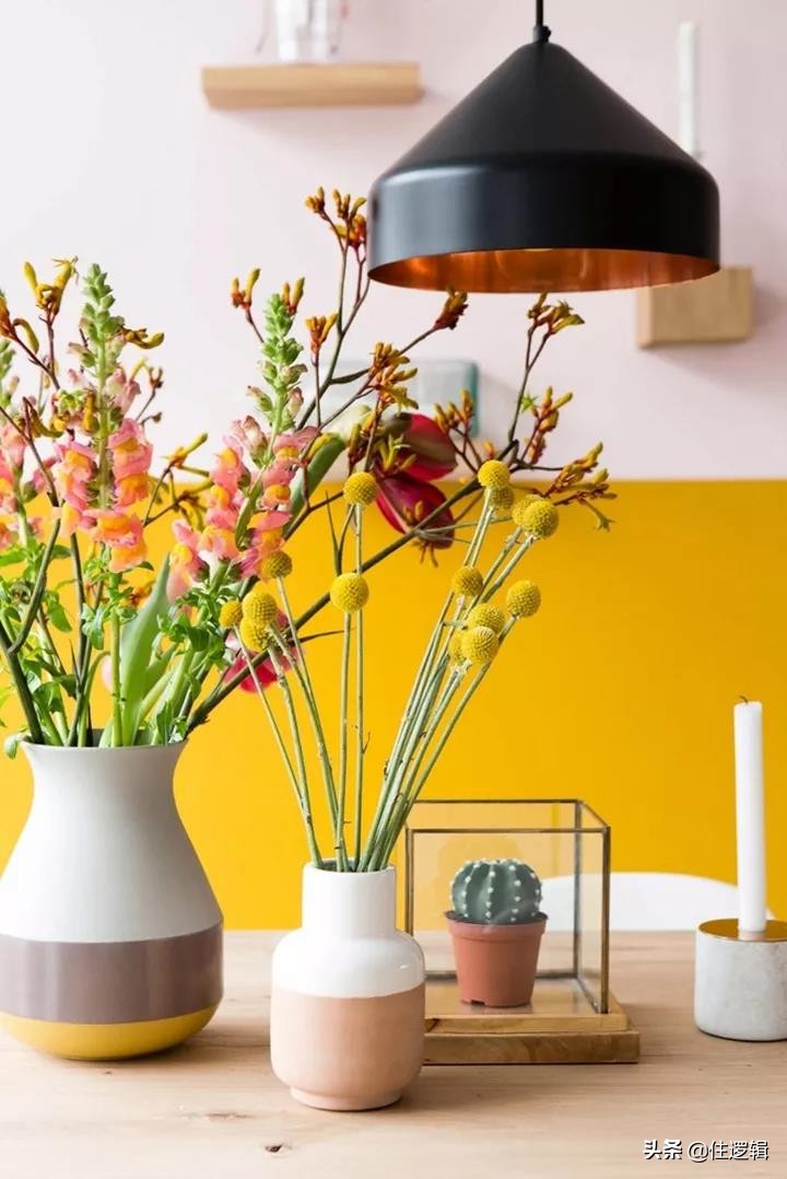 生活有点焦虑,生活有点绿才会红红火火