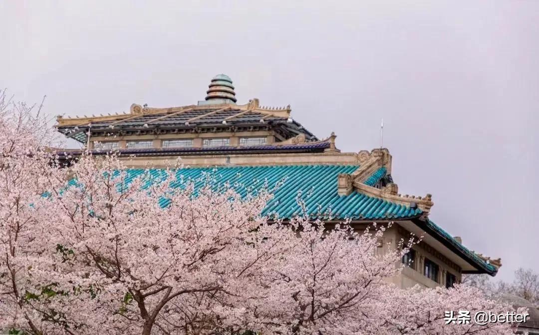 我在武汉,太太太太太南了