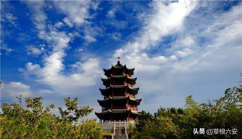 谢谢你来了全集,谢谢你医生