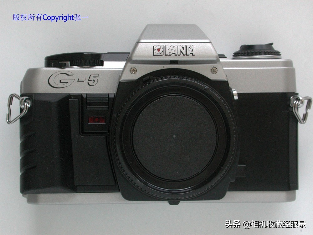 海鸥DF2000,海鸥df-300a仿的什么相机